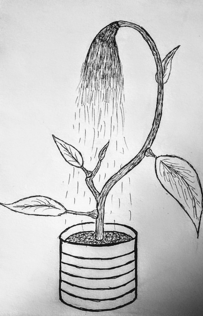 掛け軸　化け狸　変わり図案。。 掛け軸 化け狸 変わり図案。。 i-img800x711-